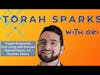 Yogurt Explosions and Living with Passion - Special Guest: A. I. (The Torah Sparks Podcast VIDEO)