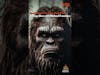 What is the Freeman Footage with Michael Freeman #bigfoot #shorts