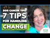 Dog Cancer Tips: 7 Tactics for Handling Change | Molly Jacobson