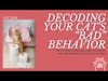 Why Is My Cat Peeing Outside the Litterbox? And Other Cat Behavior Explained