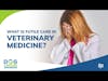 What Is Futile Care in Veterinary Medicine? | Dr. Nathan Peterson