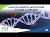 How Do Genetic Mutations Cause Cancer? | Dr. Charlotte Hacker