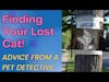 Strategies and Insights for Finding Your Lost Cat
