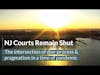 🚨 3.31.20 - NJ Legal System Shutdown & COVID19