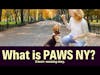 A Lifeline for Pet Owners In Need: The Story of Paws NY