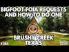 How to Submit a Bigfoot FOIA Request with Eric Palacios from @MediaPalace | Bigfoot Society 385