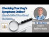 Checking Your Dog’s Symptoms on the Internet? Here’s What You Need to Know│Dr. Alex Avery Deep Dive