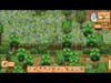 Summer is OVER!!! LGBTQ+ POC Stardew Valley Expanded Playthrough Part 13