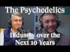 What the Psychedelics Industry will look like over the next 10 years W/ Brom Rector