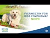 Ivermectin for Dog Lymphoma? Nope | Dr. Brooke Britton