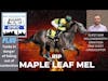 Maple Leaf Mel Breaks Down at Saratoga