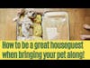 How to Be a Great Houseguest When You Bring Your Pet