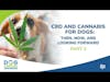 CBD and Cannabis for Dogs: Then, Now, and Looking Forward Part 2 | Dr. Narda Robinson