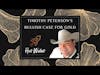 Timothy Peterson: Where Gold Might Be Headed The Next Decade