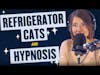114. Refrigerator Cats and Hypnosis