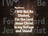 Decree: I will NOT BE SHAKEN! #bible #prayer #jesus #remnantwarriorsrise