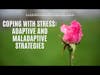 Coping With Stress : Adaptive and Maladaptive Strategies (5MF)