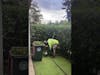 Hedge Trimming Service
