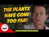 The Happening Movie Review - The Plants Have Gone Too Far!