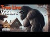 Tree Line Visitors: Close Encounters with Bigfoot in Remote Tennessee // Bigfoot Society 226