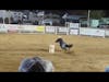 Barrell Racing at the Techachipi Mountain Rodeo