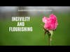 Incivility and Your Flourishing