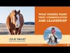TET24 017 Julie Smart - What Horses Want - Trust, Communication and Leadership