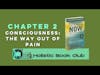 Consciousness: The way out of Pain | The Power of Now | Chapter 2 Review