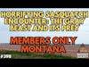 Horrifying Gray Sasquatch Stares me Down in Montana (Members Only) | Bigfoot Society 398