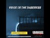 Voice in the Darkness