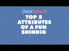Top 5 Attributes of a Fun Shindig | Uber Cinco Podcast
