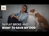 I’m Flat Broke … And I Want to Save My Dog! │ Molly Jacobson Deep Dive