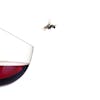 Episode 15- Fruit Flies, Craft Wine, Wine Myths, Champagne Mistakes