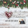 Advent Series |  The Wonder of Christmas with Dr. Ray Lubeck
