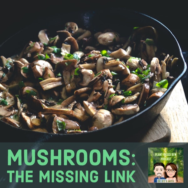53: The Amazing Benefits of Mushrooms with Jeff Chilton