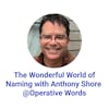 The Wonderful World of Naming with Anthony Shore @Operative Words