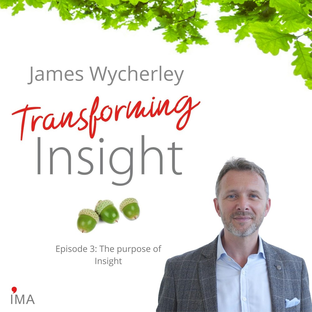 Episode 3: The purpose of Insight