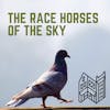 The Race Horses Of The Sky