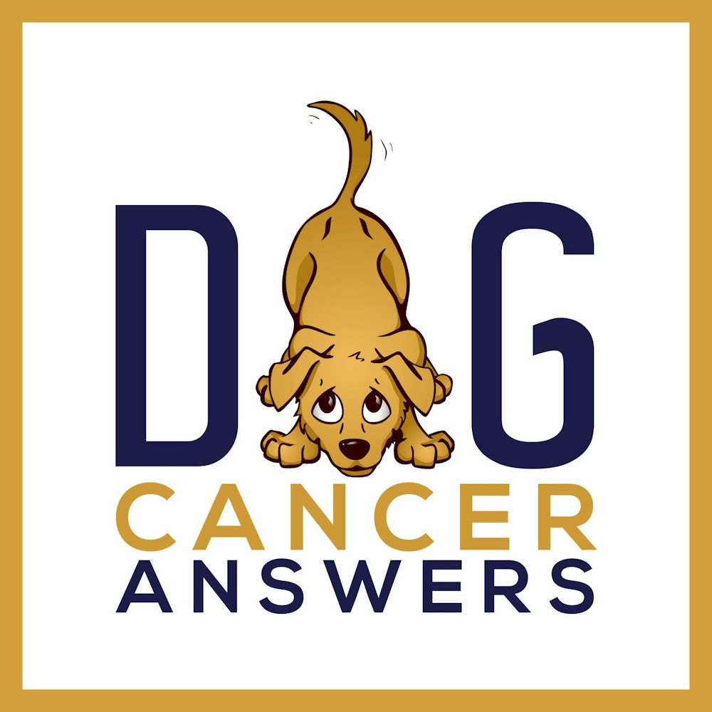 Dog Cancer Diagnosis Is Not An Immediate Death Sentence