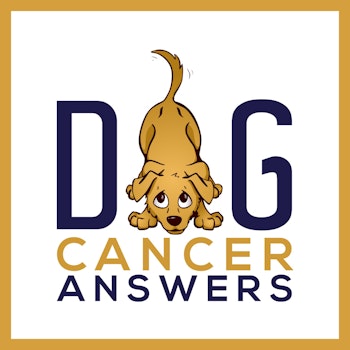 Therapy After Leg Amputation for Dog | Dr. Erica Ancier Deep Dive