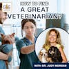 How to Find a Great Veterinarian | Dr. Judy Morgan Deep Dive