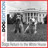 Dogs Return to the White House | Dog Edition #1