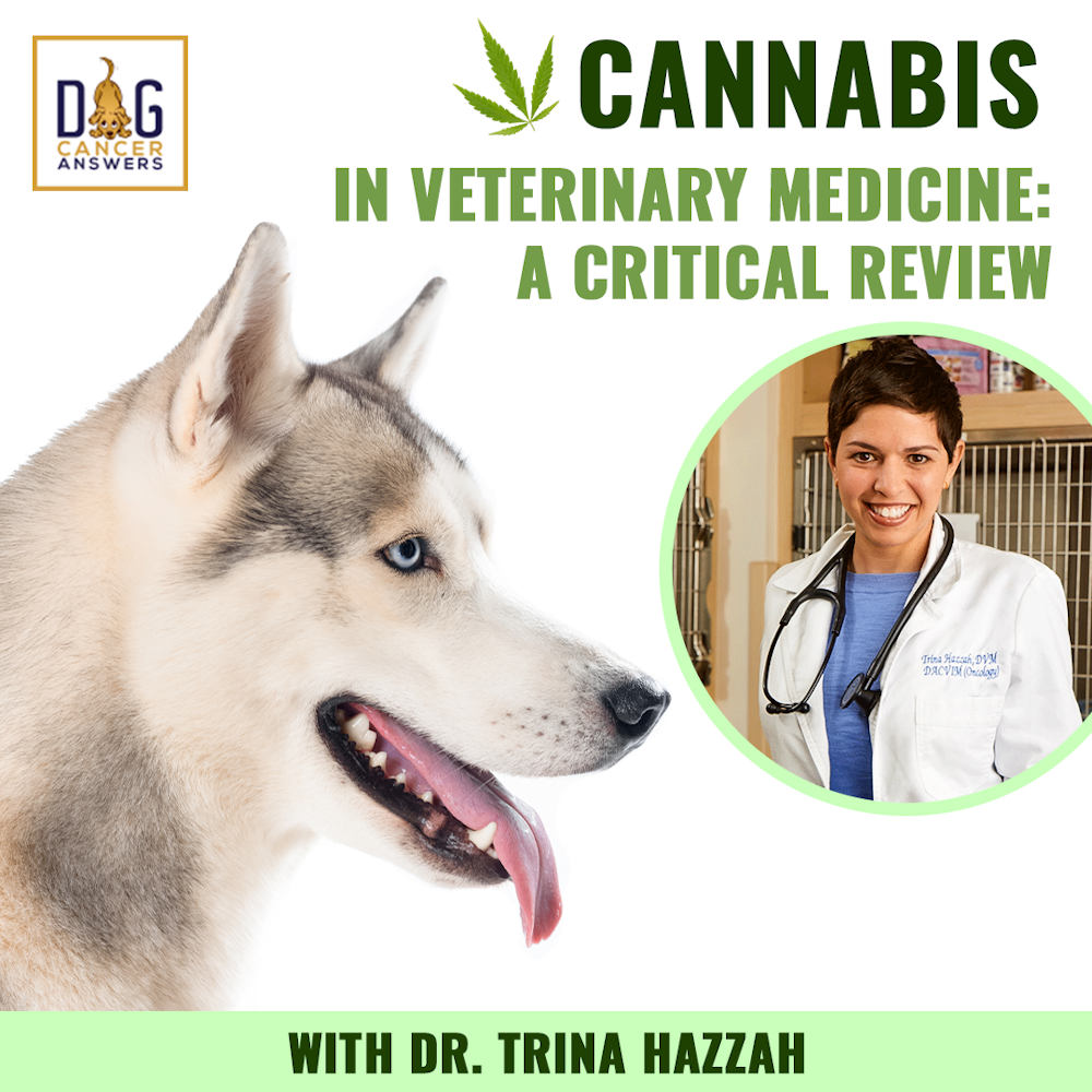 Cannabis in Veterinary Medicine: A Critical Review | Dr. Trina Hazzah Deep Dive