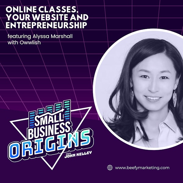 Online Classes,  Your Website and Entrepreneurship featuring Alyssa Marshall with Owwlish
