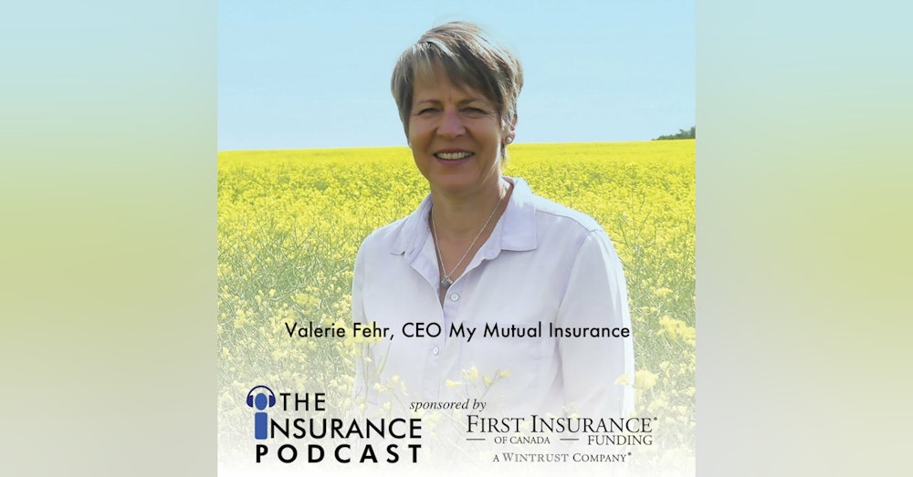 Valerie Fehr, My Mutual Insurance
