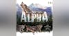 The Alpha by Bicylce Games