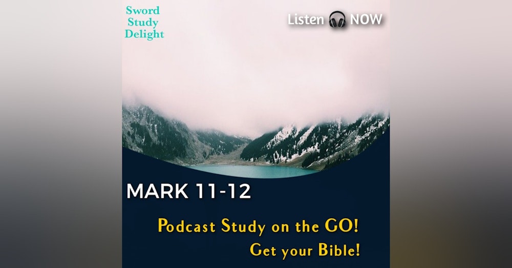 Study on Mark: Chapters 11-12