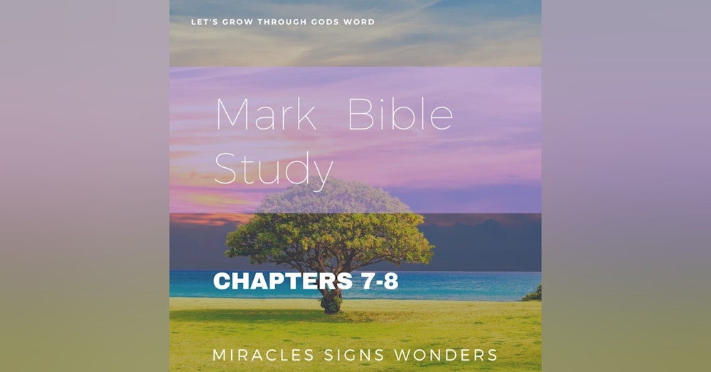 Study on Mark: Chapters 7-8