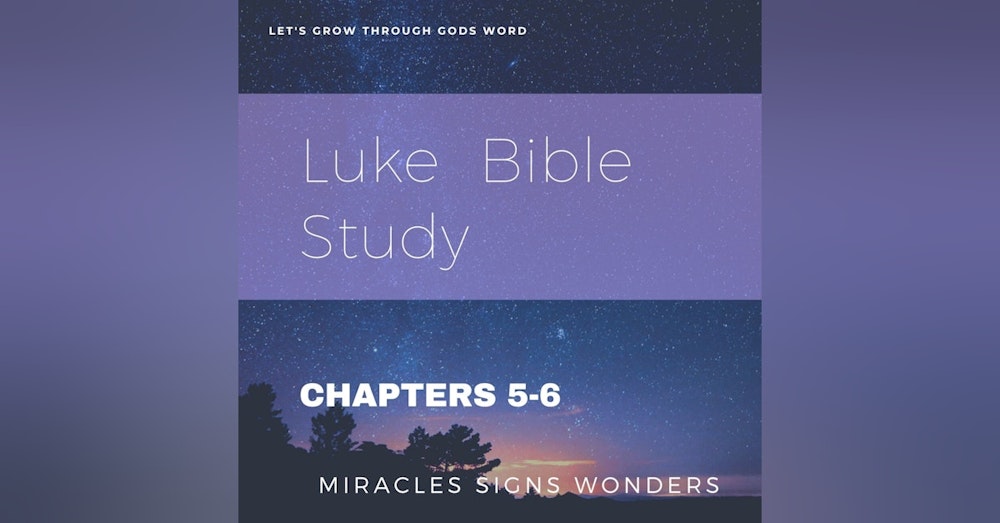 Study on Luke: Chapters 5-6