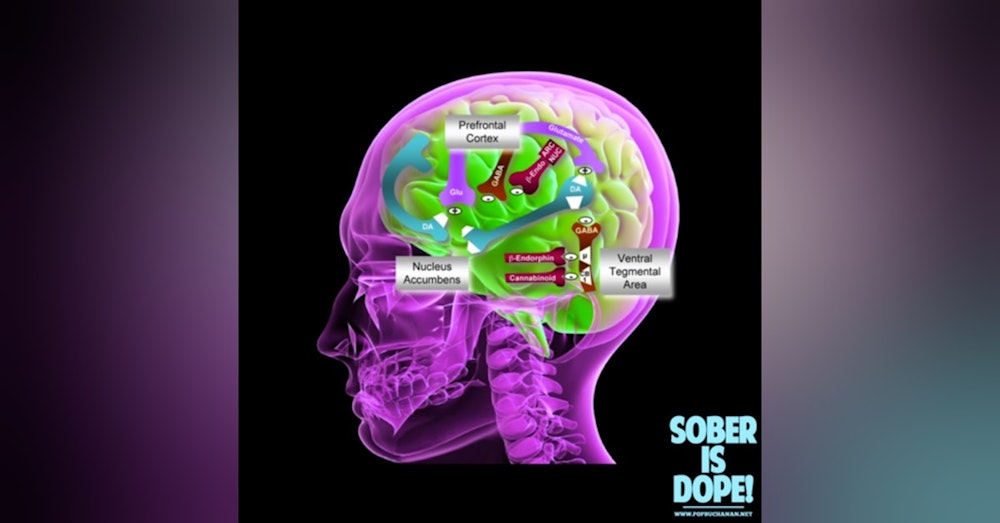 Drugs, Addiction, and the Brain 
(The Science of Addiction)